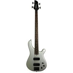 Fernandes FRB55FS бас-гитара