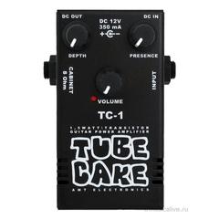 AMT TC-1 Tubecake 1,5W - компактный усилитель мощности