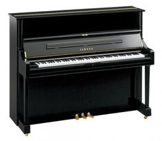 Yamaha U1PE//Q.LZ. Акустическое пианино 121 см, цвет - черный, полированное, с банкеткой (Япония)