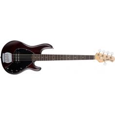 STERLING ST-RAY5-WS-J1 - бас-гитара 5 струн StingRay in Walnut Satin
